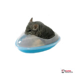 Bañera para chinchilla