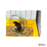 Noria Rolly con soporte