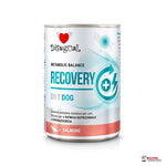 Disugual Recovery salmón 6 x 400 g