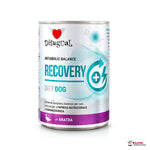 Disugual Recovery pato 6 x 400 g