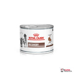 Royal Canin Recovery 195 g