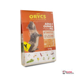 Miniorycs Adult guinea pig