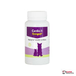 Stangest Cardio II