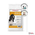 Superior adulto pavo desde