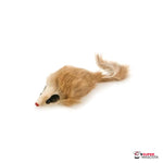 Ratón peludo