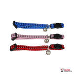 Collar gato reflectante