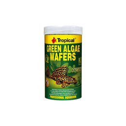 Tropical Green Algae Wafers
