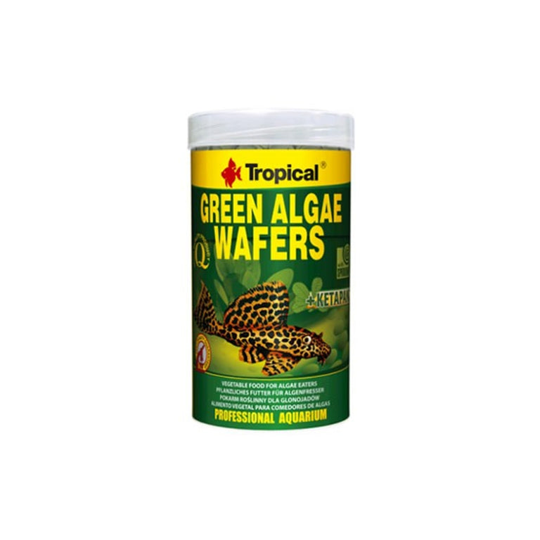 Tropical Green Algae Wafers