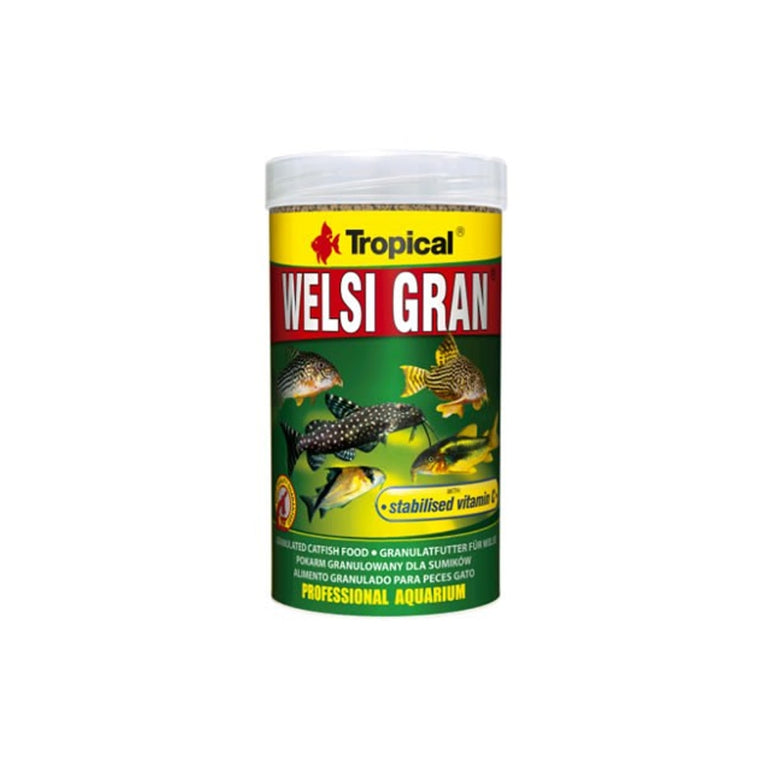 Tropical Welsi Gran