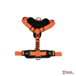 Arnés XTRM naranja