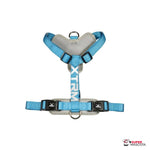 Arnés XTRM azul