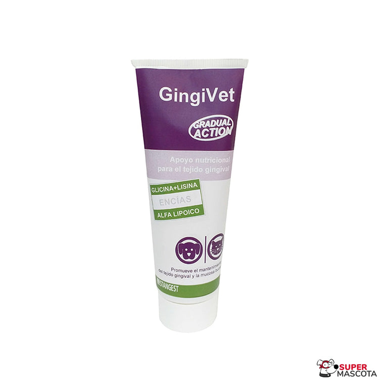 Gingivet pasta 100 g