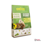 MiniOrycs  Junior rabbit
