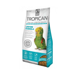 Tropican Loros