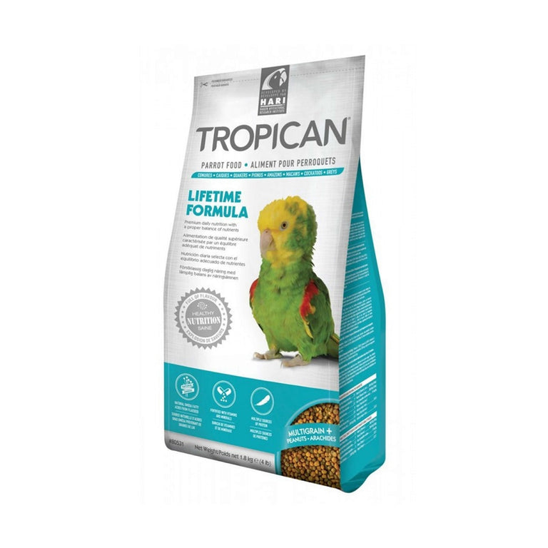 Tropican Loros
