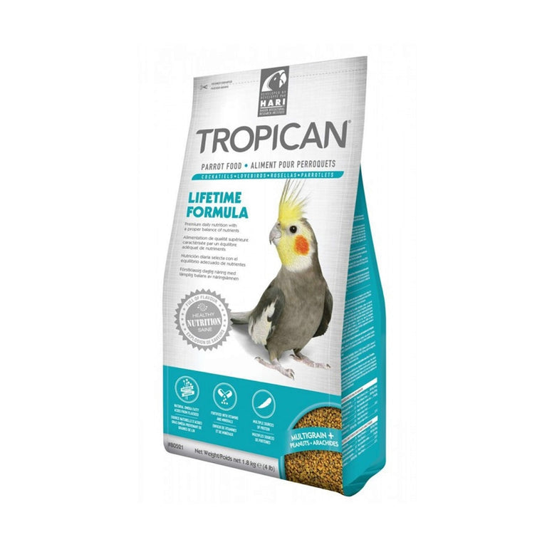 Tropican ninfas y cotorras