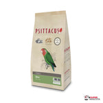 Psittacus Minor