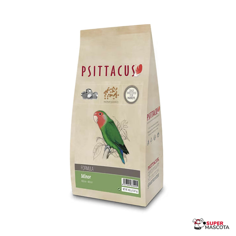 Psittacus Minor