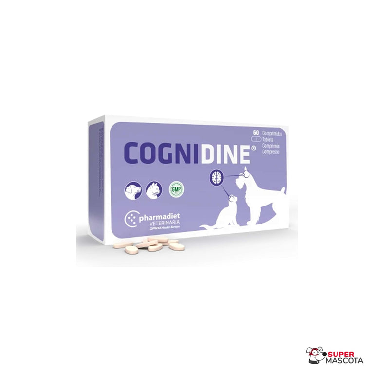 Cognidine 60 coprimidos