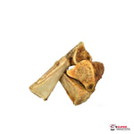 Hueso de tibia rellena