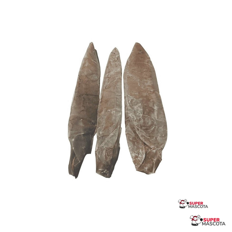 Vejiga de búfalo 40 cm