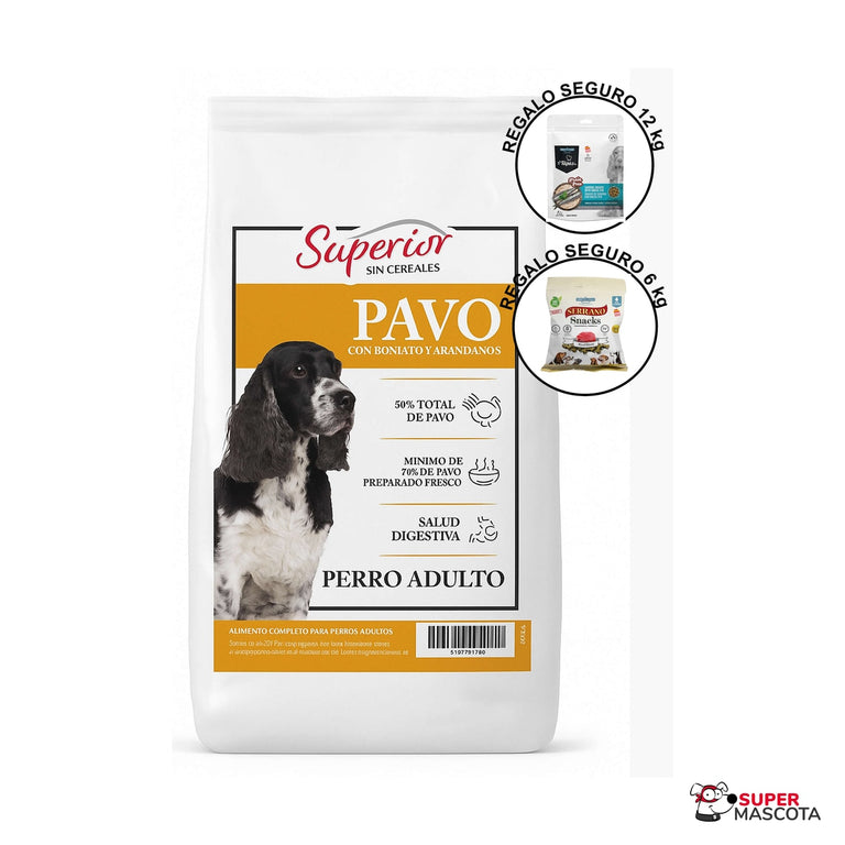 Superior adulto pavo desde