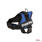 Arnés Xtreme azul