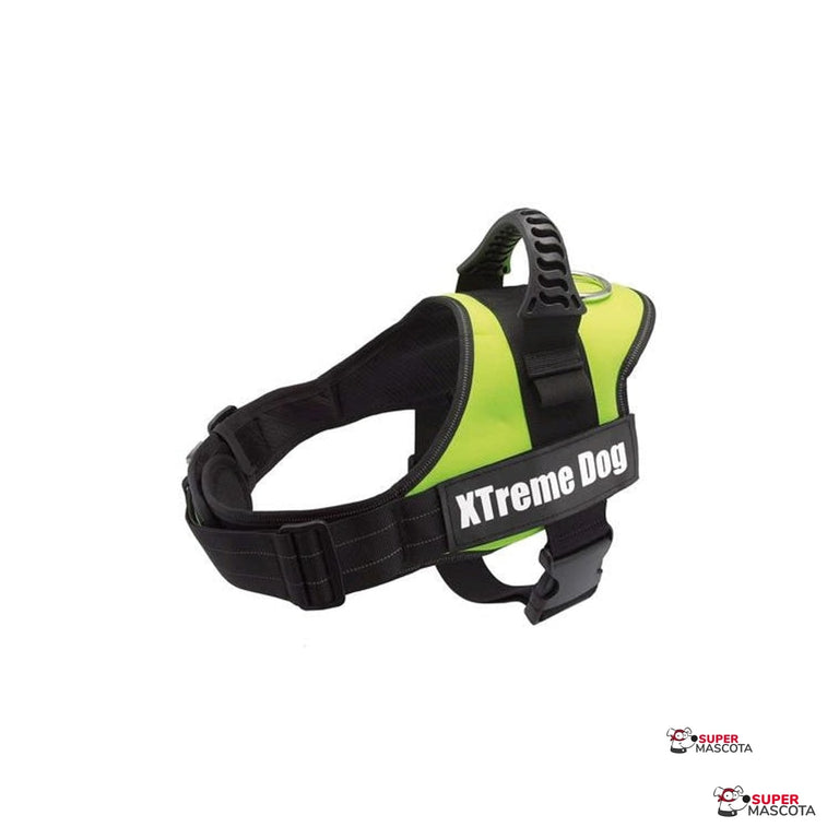 Arnés Xtreme verde