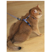 Set arnés y correa para gatos Gentle Cat