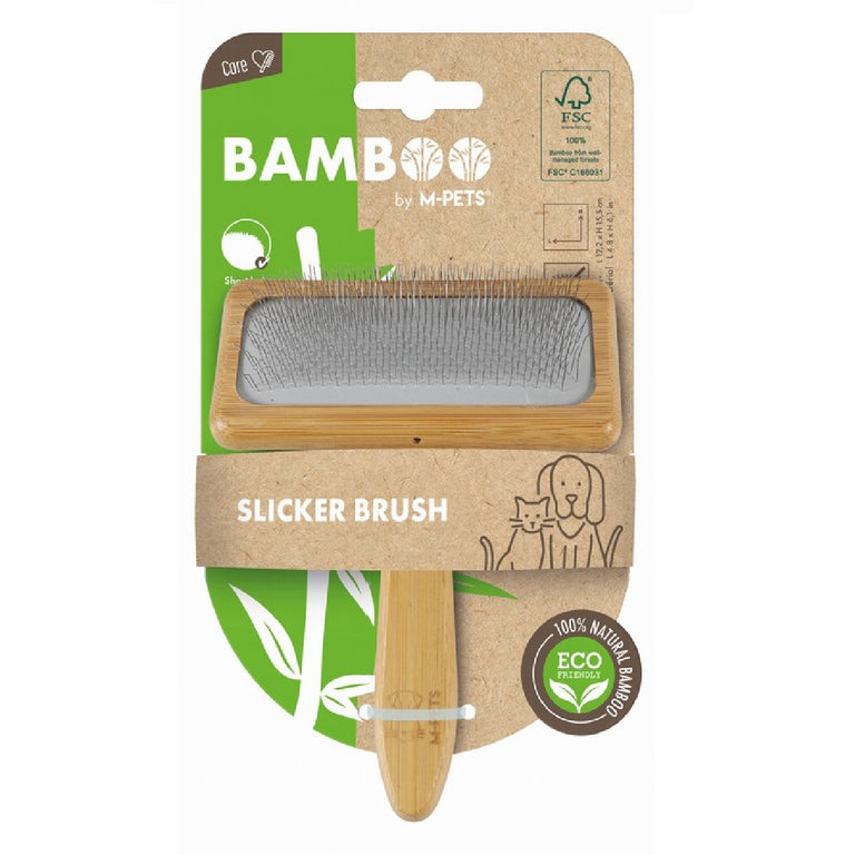 Bamboo Carda