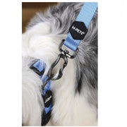 Correa Gentle Dog azul