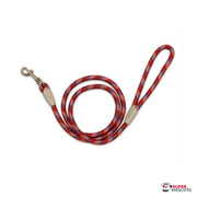 Correa Piemonte Roja