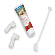 Set dental sabor fresa