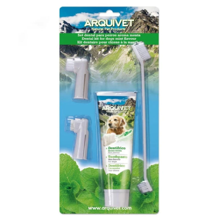 Set dental sabor menta