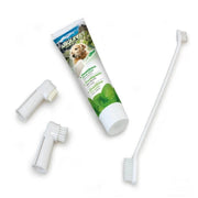 Set dental sabor menta