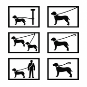 Imagen mejorada de los usos de la correa multiposición Medina