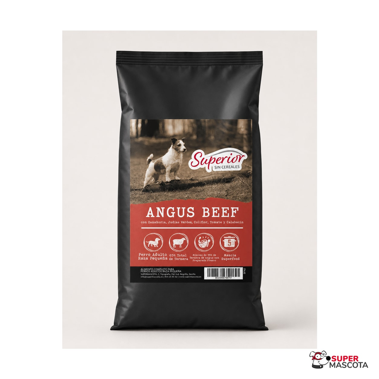 Superior angus adulto raza pequeña