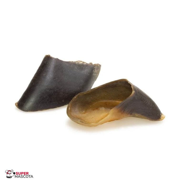 Arquivet Pezuña de Búfalo Natural para perros 1 unidad