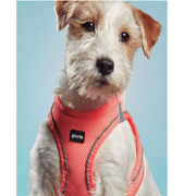 Arnés TREK STAR de malla transpirable y reflectante para perros