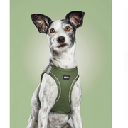 Arnés TREK STAR de malla transpirable y reflectante para perros